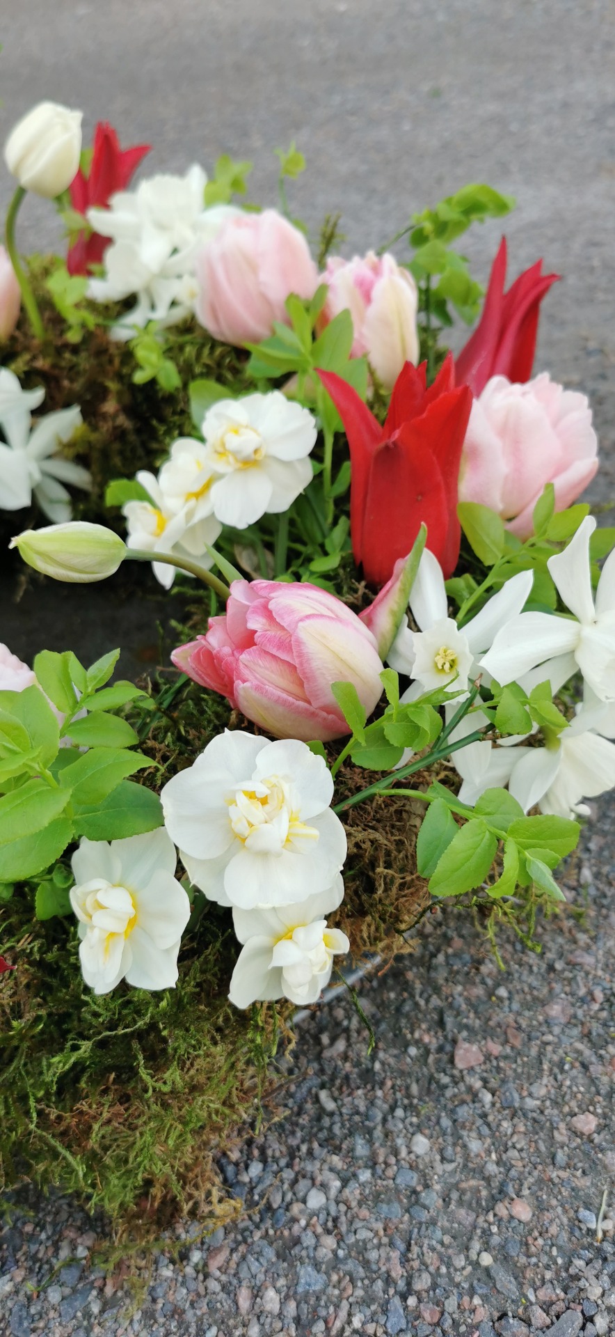 Krans med narcisser 'Cheerfullness', 'Thalia' och tulpaner 'Foxtrot', 'Pieter de Leur' samt 'Dreamer'.